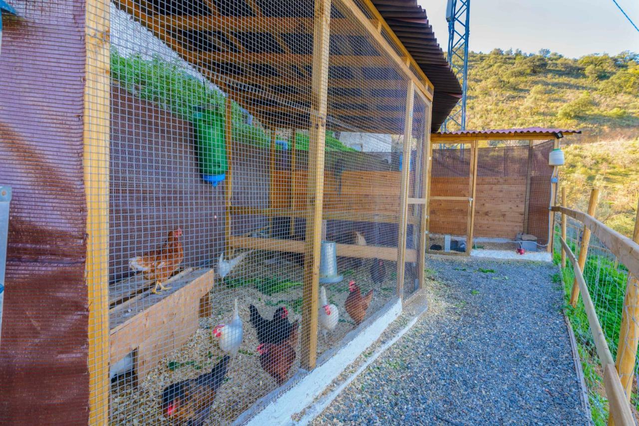 Penzion Complejo Rural El Mirador Màlaga Exteriér fotografie